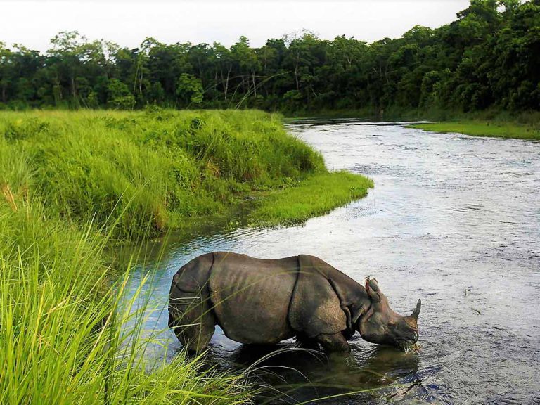 Chitwan Chitwan